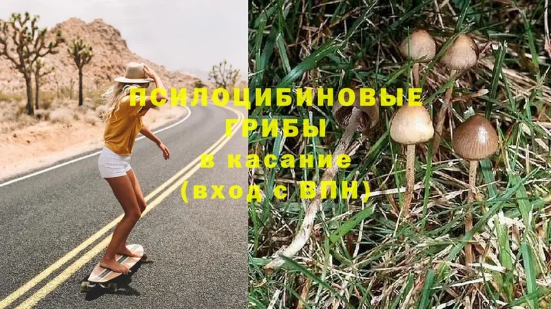 Галлюциногенные грибы Magic Shrooms  купить  сайты  Ворсма 